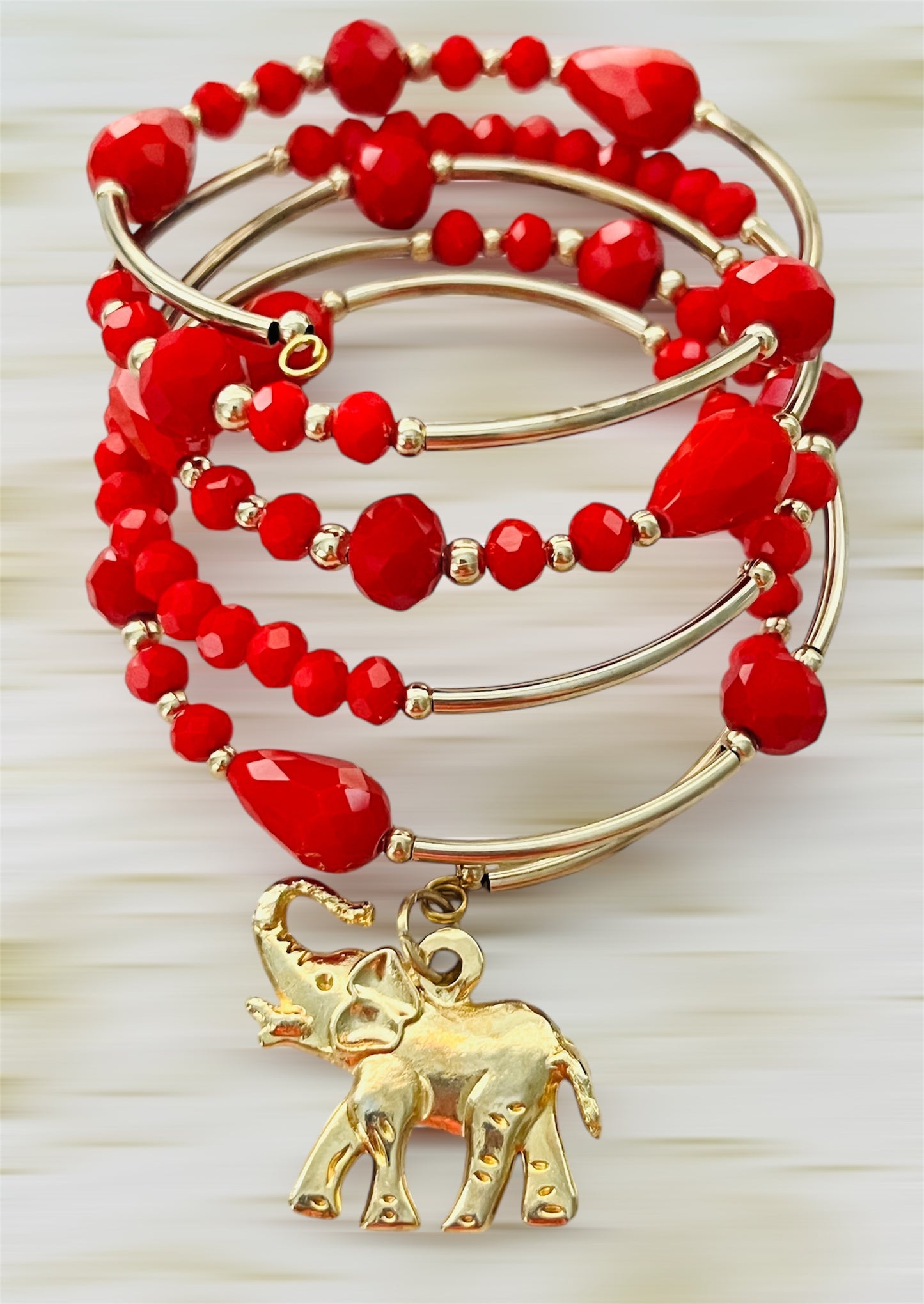 Espiral con elefante / Chapa de Oro 14K
